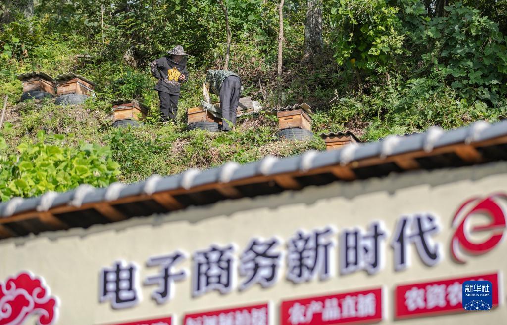 荣耀棋牌旧版本